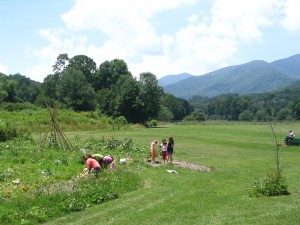 Students work on a farm plot
